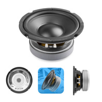 Głośnik niskotonowy Hi-Fi 6,5" 175W 8 Ohm WPP16 Fenton