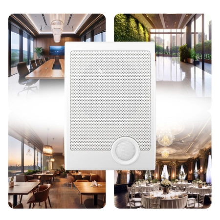 Głośnik ścienny 15W/100V WS21 biały prostokątny Audioport