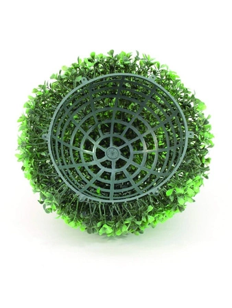 Bukszpan kulisty śr. 25 cm