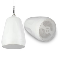 Głośnik wiszący 5,5''1szt 30W/100V AW32-W biały Audioport