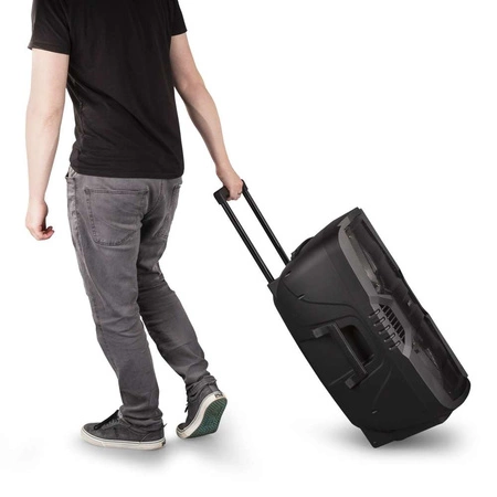 Głośnik mobilny Fenton 2x 10" FT210LED, zestaw karaoke z Bluetooth - 700W