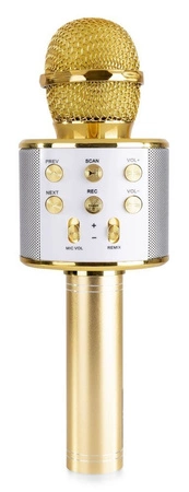 Mikrofon z głośnikiem do Karaoke KM01 BT / MP3 GOLD