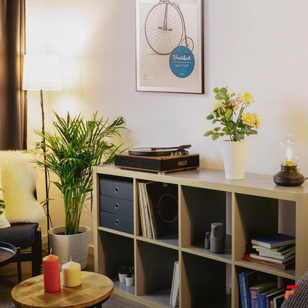 Gramofon RP162D Fenton HQ BT ciemne drewno