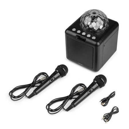 Głośnik bluetooth karaoke z półkulą LED 15W BT 2 mikrofony Fenton