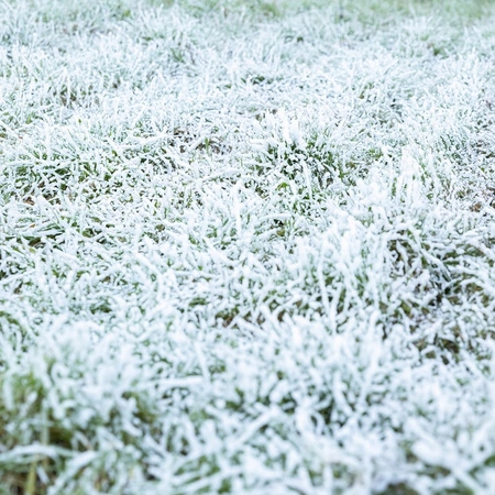 Płyn do wytwornic śniegu Snow Fluid 5l