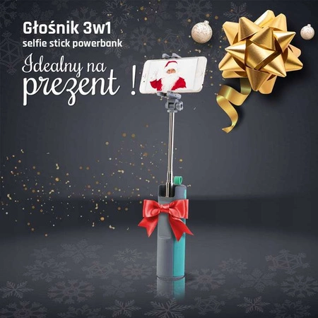 Przenośny głośnik wielofunkcyjny Bluetooth FREESOUND z selfie stick niebieski