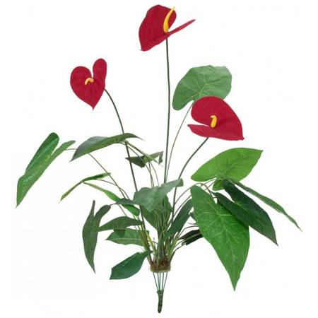 EUROPALMS Anturium, sztuczny kwiat, 70 cm