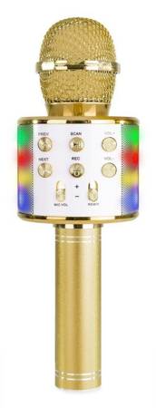 Mikrofon karaoke z głośnikami BT MP3 MAX efekt LED złoty